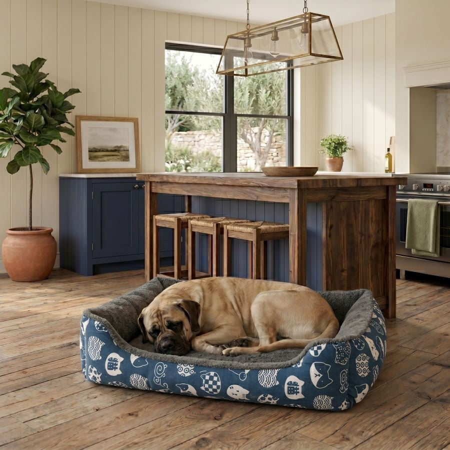 Panier pour chien déhoussable avec rebords motif bleu