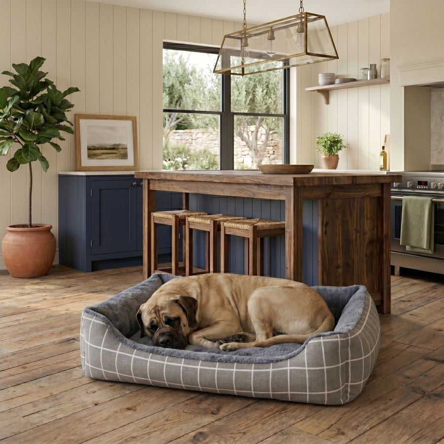 Panier pour chien déhoussable avec rebords motif gris