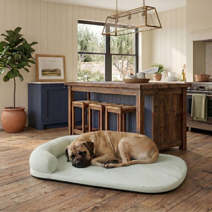 Tapis rafraîchissant pour chien vert lavable