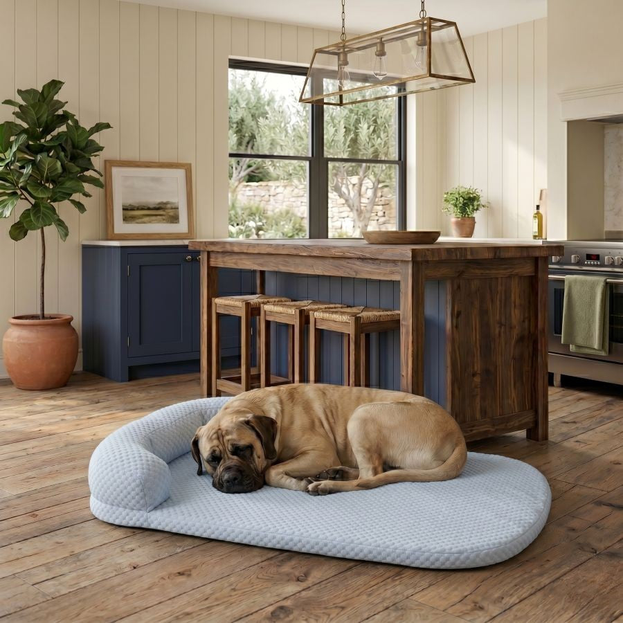 Tapis rafraîchissant pour chien bleu lavable