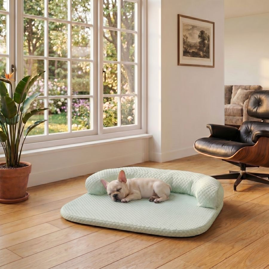 Tapis rafraîchissant pour chien vert lavable