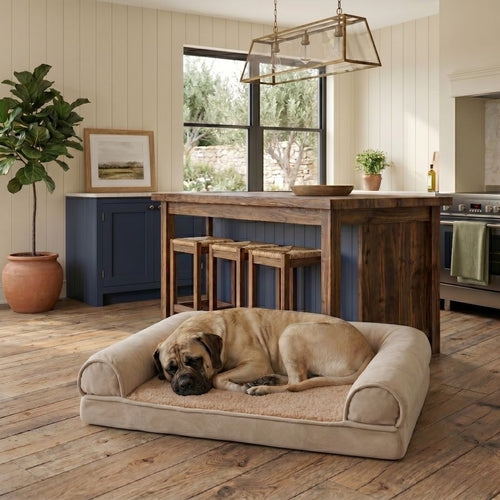 Canapé orthopédique pour chien beige