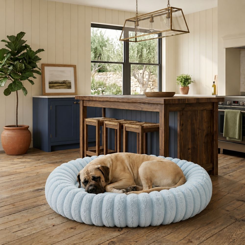 Coussin lit rond pour chien en coton bleu ciel