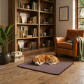 Tapis rafraîchissant pour chien marron respirant et lavable