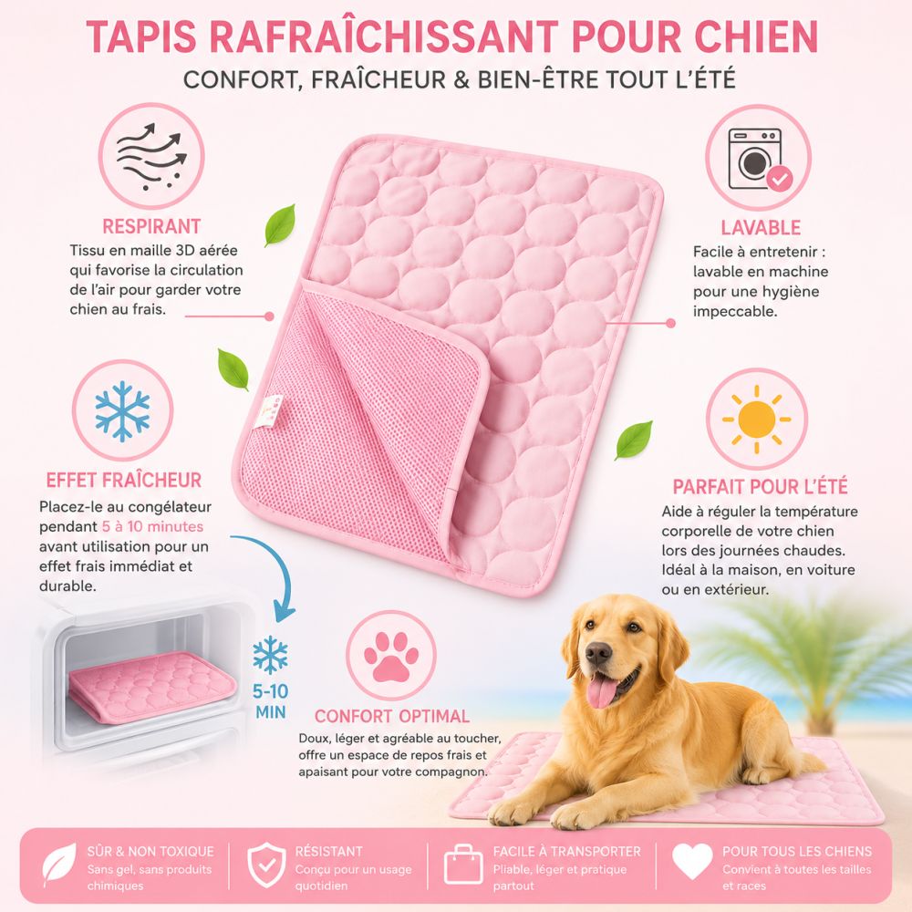Tapis rafraîchissant pour chien bleu respirant et lavable