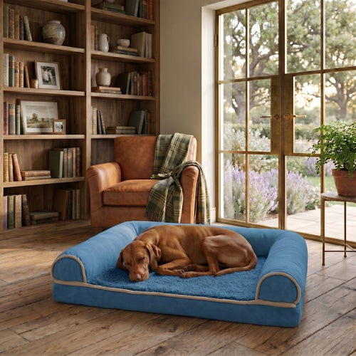 Canapé orthopédique pour chien bleu