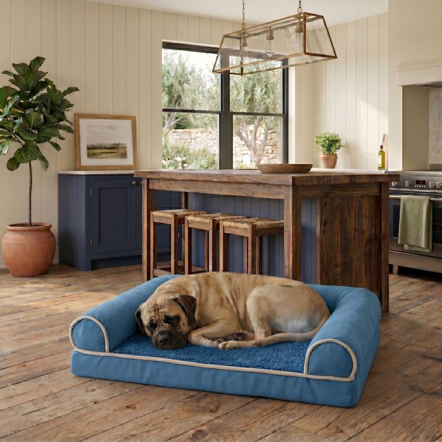 Canapé orthopédique pour chien bleu