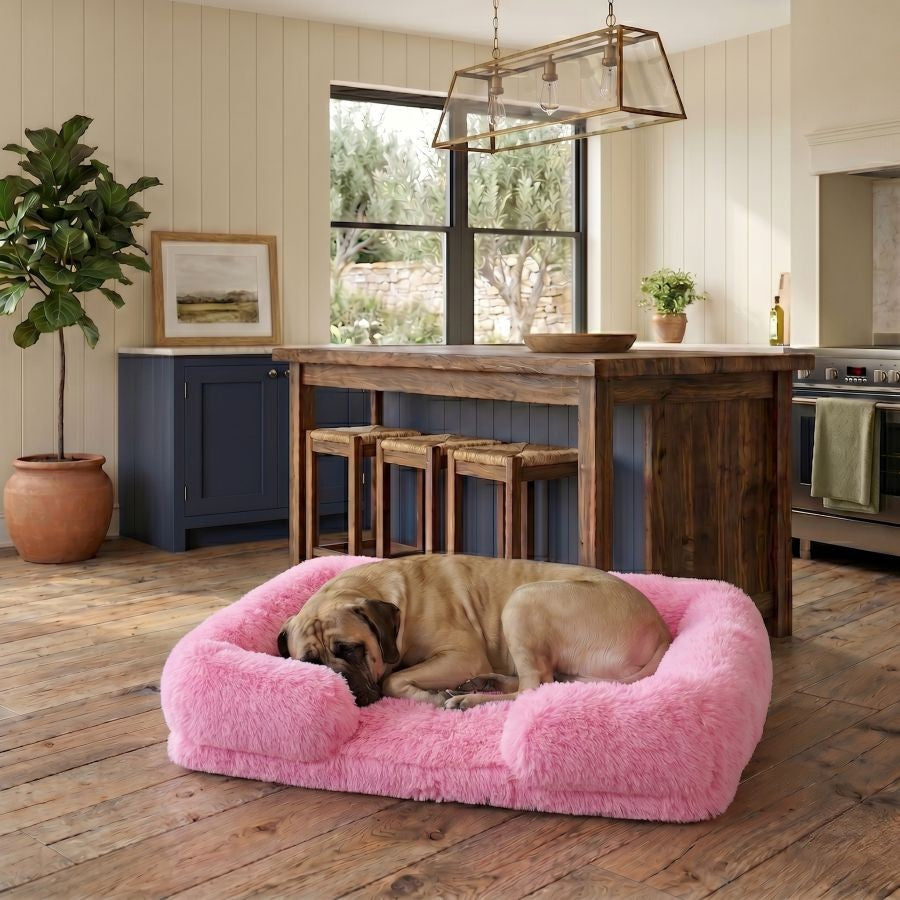 Canapé pour chien rose fuchsia en coton