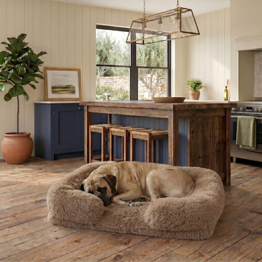 Canapé pour chien marron clair en coton