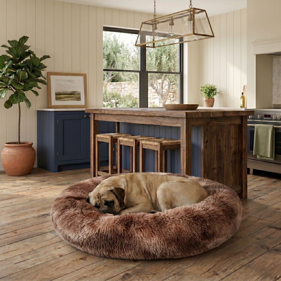 Coussin apaisant pour chien marron
