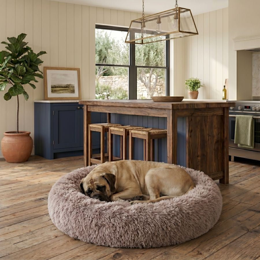 Coussin apaisant pour chien couleur taupe