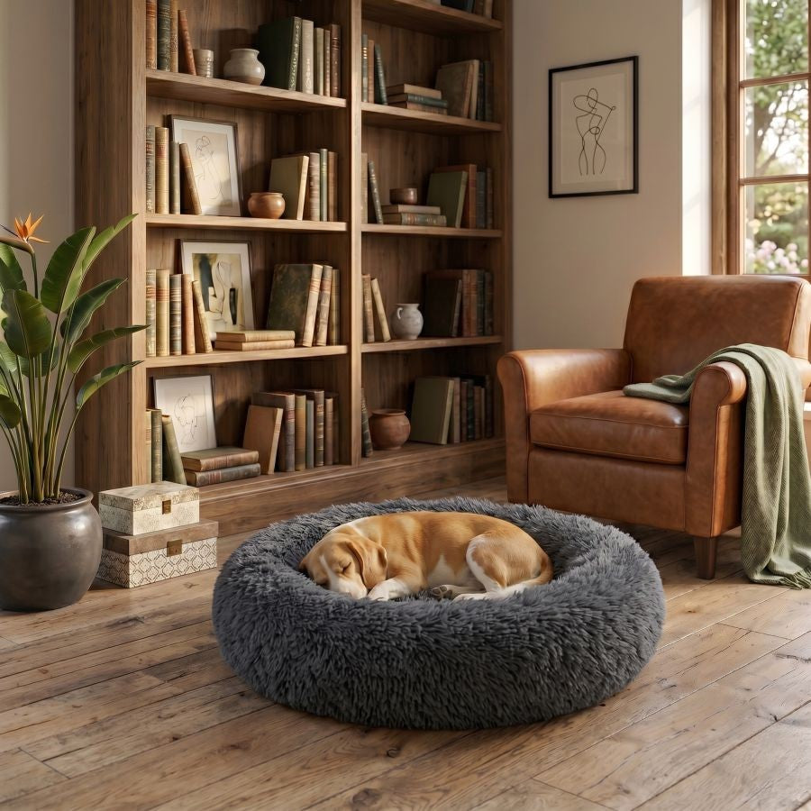Coussin apaisant pour chien noir