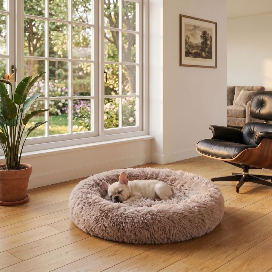 Coussin apaisant pour chien couleur taupe