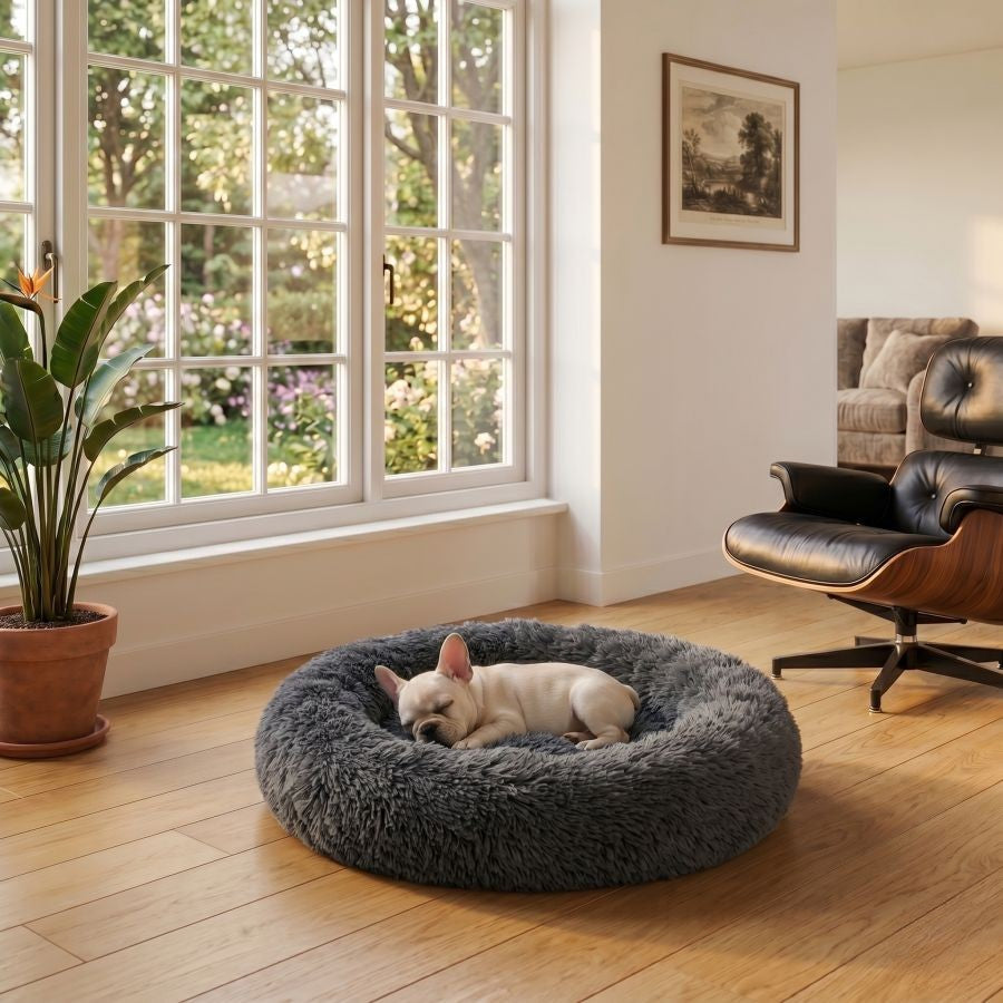 Coussin apaisant pour chien noir