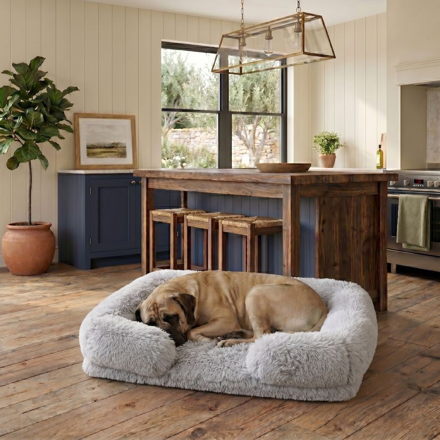 Canapé pour chien gris en coton