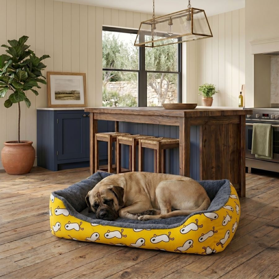 Panier pour chien déhoussable avec rebords motif jaune