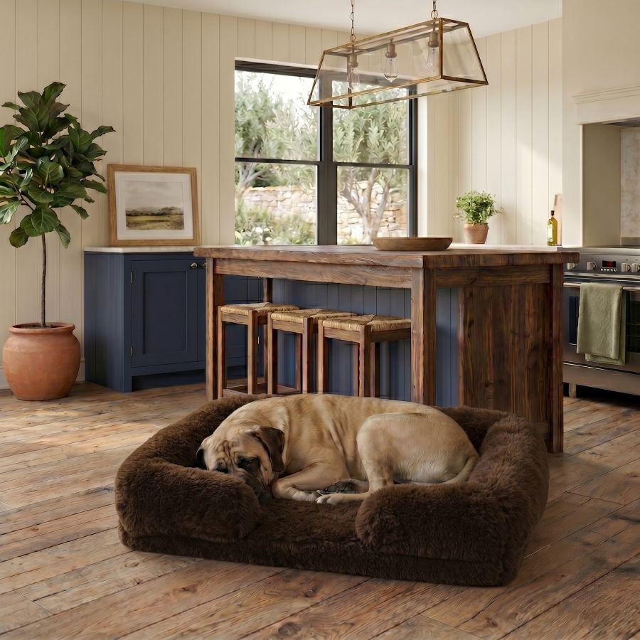 Canapé pour chien marron foncé en coton