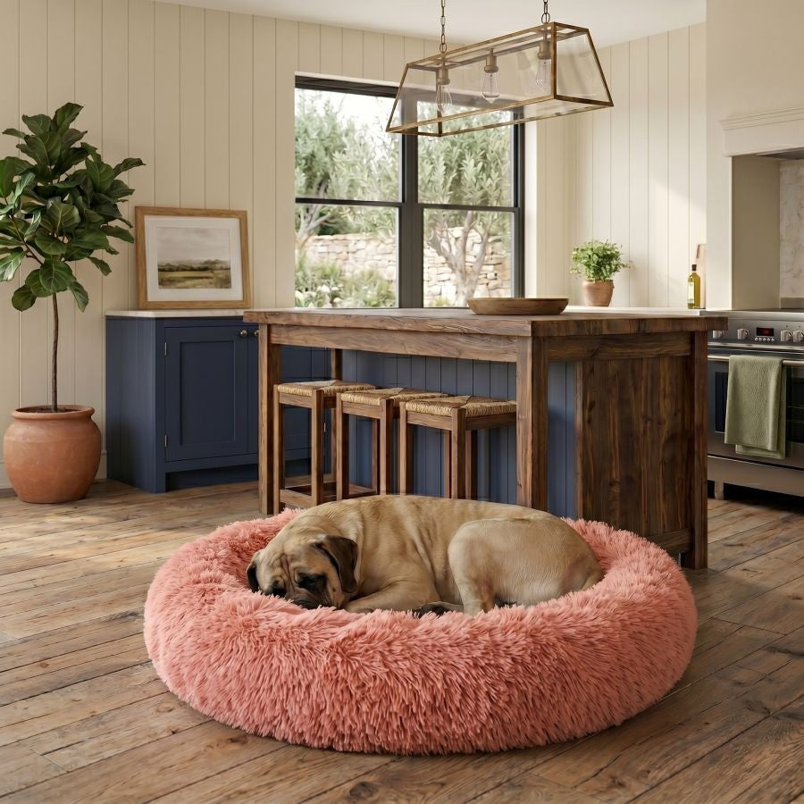 Coussin apaisant pour chien rose