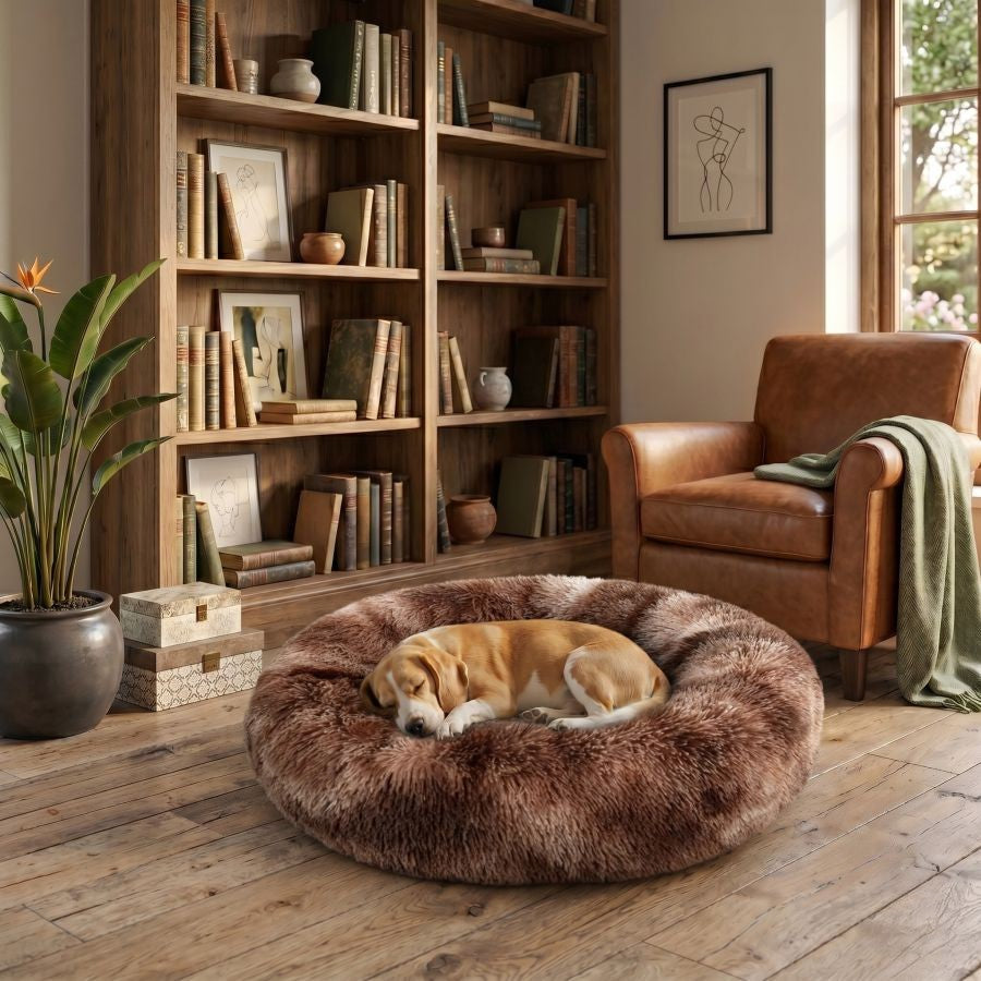 Coussin apaisant pour chien marron