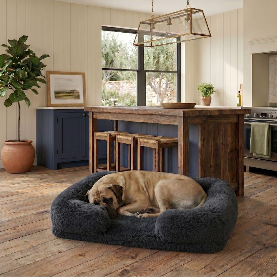 Canapé pour chien noir en coton