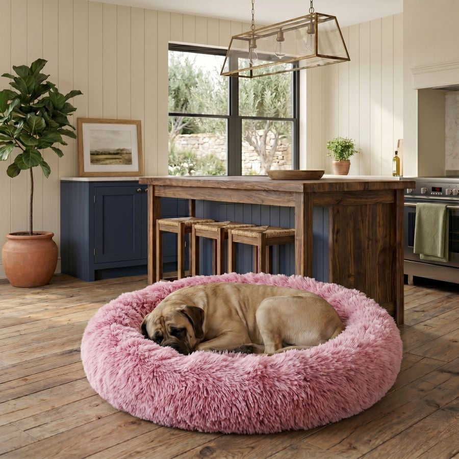 Coussin apaisant pour chien rose fuchsia