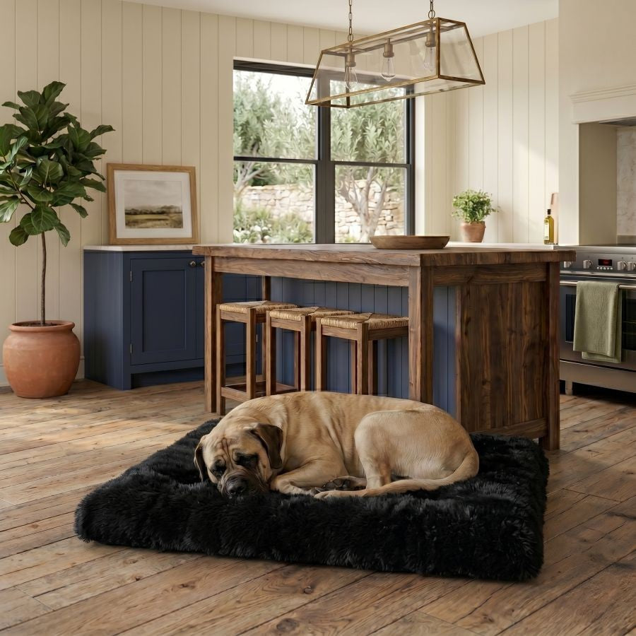 Tapis pour chien doux lavable noir