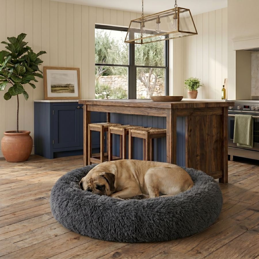 Coussin apaisant pour chien noir