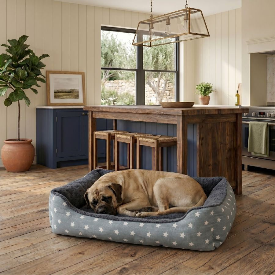 Panier pour chien déhoussable avec rebords motifs étoiles