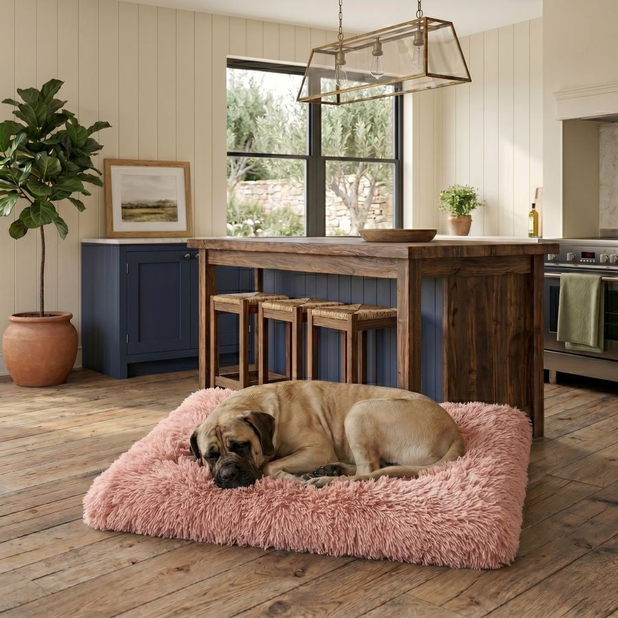 Tapis pour chien doux lavable rose